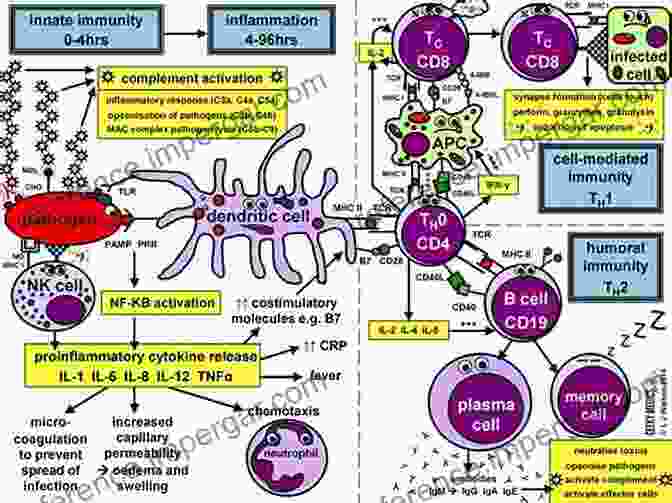 A Conceptual Illustration Depicting The Dynamic Interplay Between The Immune System And Pathogens, Leading To Disease Emergence And Evolution. Immunology And Evolution Of Infectious Disease