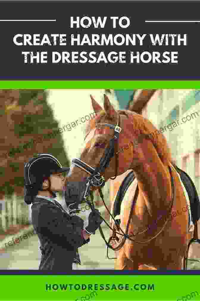 A Harmonious Partnership Between Horse And Rider In Dressage Harmonic Dressage Part 2 : Techniques Of Harmonic Dressage And The Training Pyramid