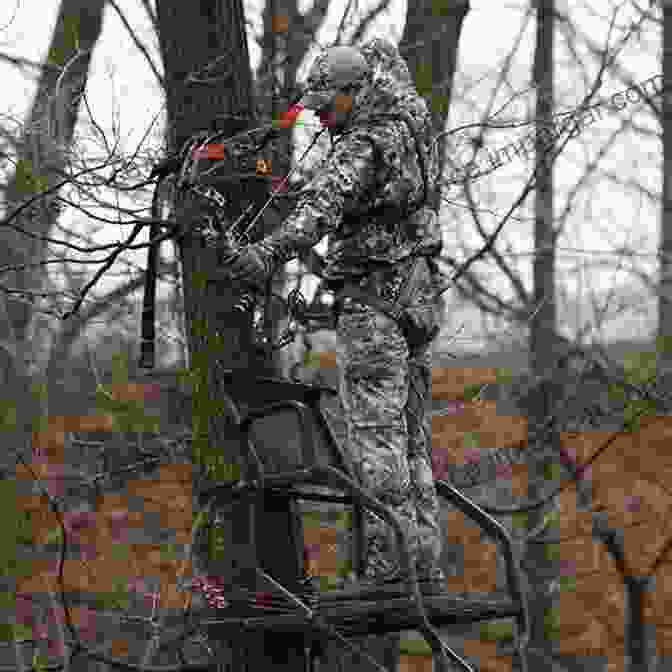 A Hunter Sits In A Tree Stand, Bow Drawn, Waiting For A Whitetail Deer To Pass By. Dawn Of American Deer Hunting: A Photographic Odyssey Of Whitetail Hunting History