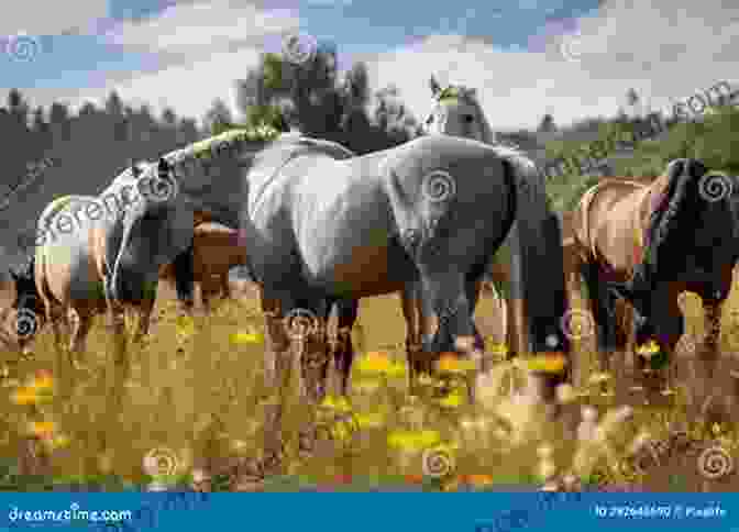 A Majestic Horse Grazing In A Pasture, Highlighting The Significance Of Animal Biochemistry In畜牧业 An To Agricultural Biochemistry