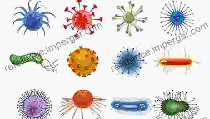 A Microscopic Image Revealing A Diverse Array Of Pathogens, Including Bacteria, Viruses, And Fungi. Immunology And Evolution Of Infectious Disease