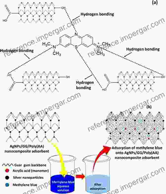 Adsorption And Organization Of Dyes In Micropores Dyes And Photoactive Molecules In Microporous Systems (Structure And Bonding 183)