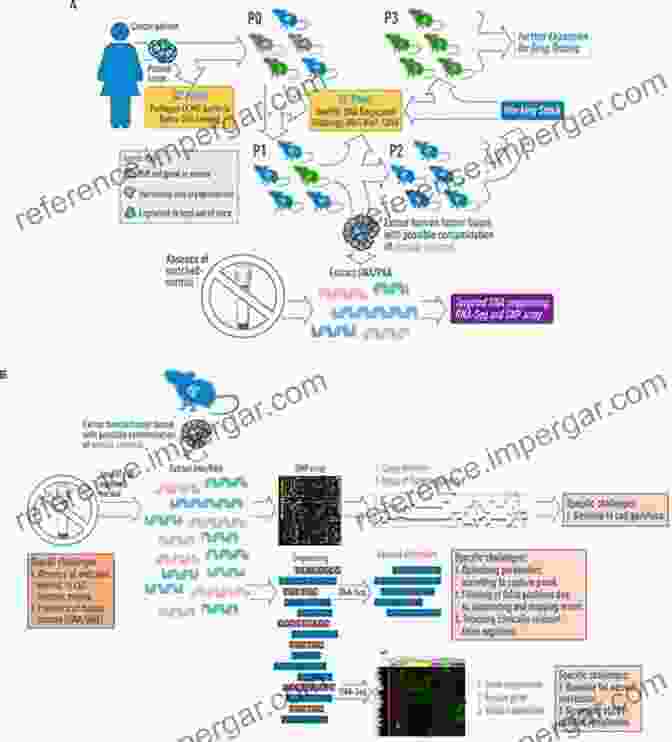 Bioinformatics Workflow Chemoinformatics And Bioinformatics In The Pharmaceutical Sciences