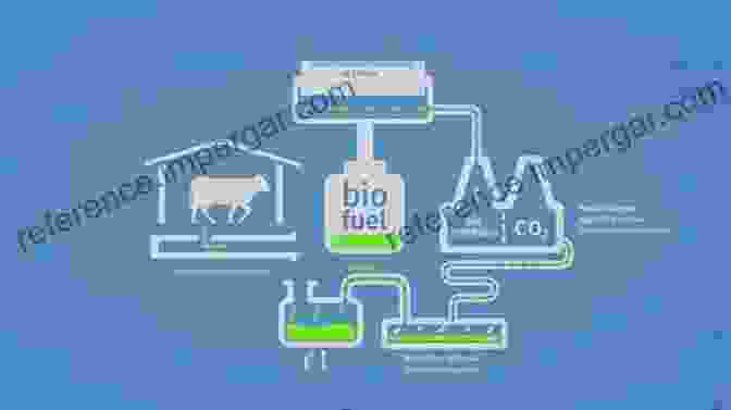 Biomethane Production Process Biomethane: Production And Applications (Green Energy And Technology)