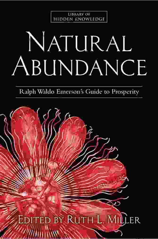 Book Cover Of Nature Photography Abundance NATURE PHOTOGRAPHY : Natures Photography Abundance