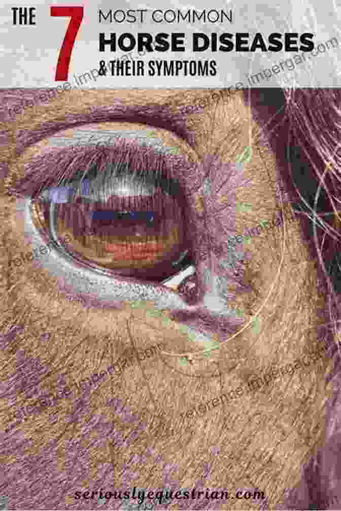 Compilation Of Images Depicting Common Equine Diseases, Such As Colic, Laminitis, And Respiratory Infections Horse Health Matters: The Horse Owner S Guide To Equine Healthcare