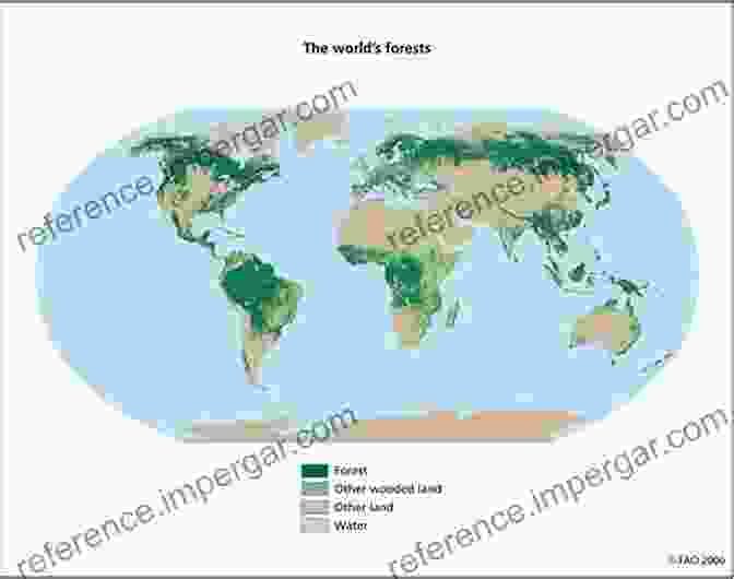 Cover Of 'Present And Future Challenges World Forests 19' Forest Context And Policies In Portugal: Present And Future Challenges (World Forests 19)