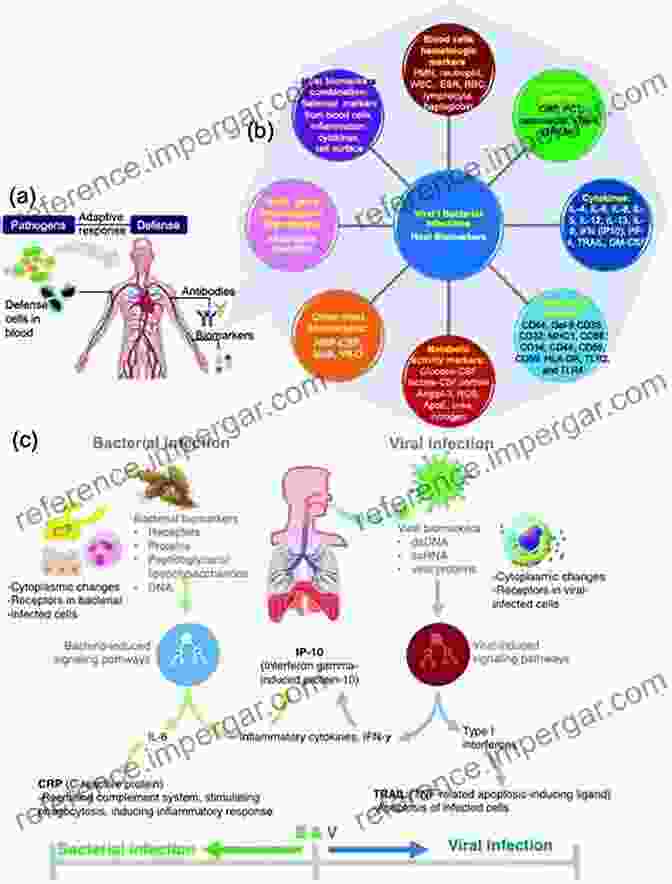 Diagnostic Chart Showing Biochemical Markers For Various Diseases Advances In Clinical Chemistry (ISSN 98)