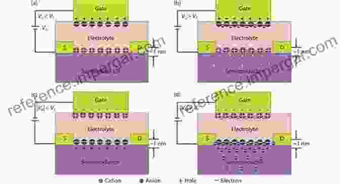 Electric Double Layer Coupled Oxide Based Neuromorphic Transistors Electric Double Layer Coupled Oxide Based Neuromorphic Transistors Studies (Springer Theses)