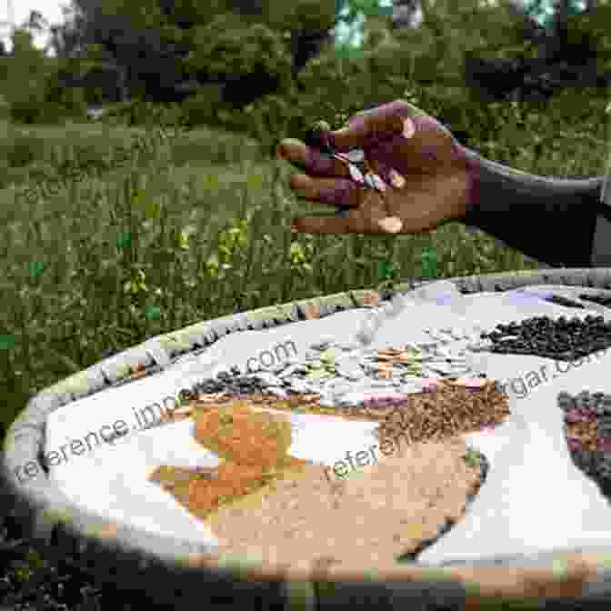 Farmers Exchanging Seeds At A Local Market Seed Trade In Rural Markets: Implications For Crop Diversity And Agricultural Development