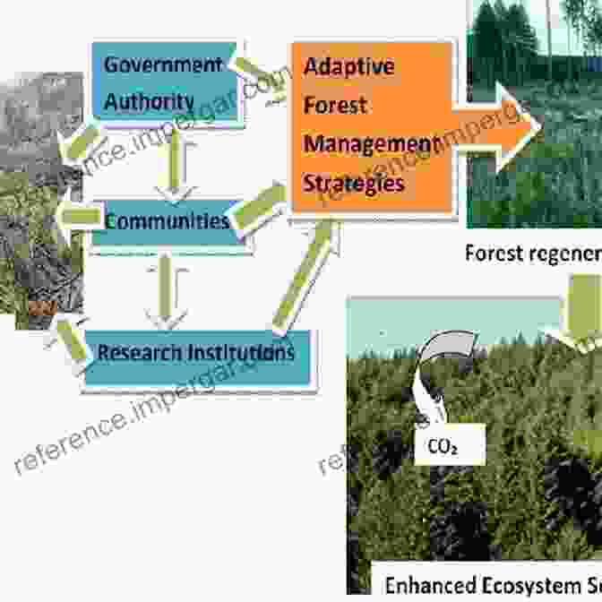 Forest Managers Working In A Complex And Adaptive Forest Ecosystem Managing Forests As Complex Adaptive Systems: Building Resilience To The Challenge Of Global Change (The Earthscan Forest Library)