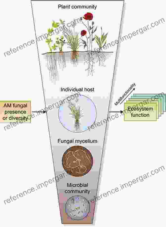 Fungi Thriving In Diverse Ecosystems, From Forests To Grasslands Advancing Frontiers In Mycology Mycotechnology: Basic And Applied Aspects Of Fungi