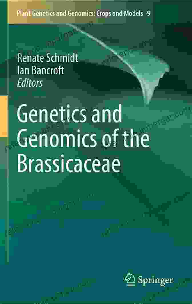 Genetics And Genomics Of The Brassicaceae Plant Genetics And Genomics Book Cover Genetics And Genomics Of The Brassicaceae (Plant Genetics And Genomics: Crops And Models 9)