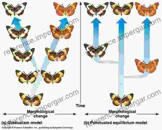 Image Depicting The Concept Of Reverse Evolution, Showcasing Morphological Changes That Occur In Response To Environmental Pressures. Morphogenesis Environmental Stress And Reverse Evolution