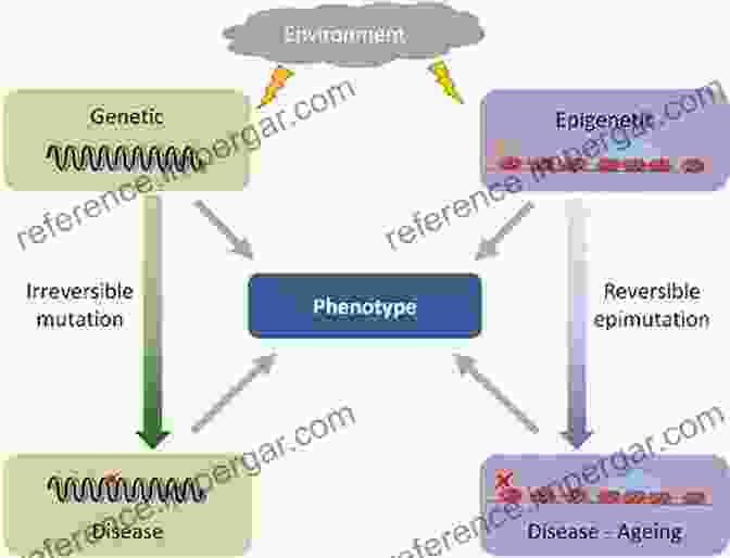 Image Explaining The Connection Between Epigenetics And Evolution, Highlighting The Influence Of Environmental Cues On Gene Expression And Phenotypic Outcomes. Morphogenesis Environmental Stress And Reverse Evolution