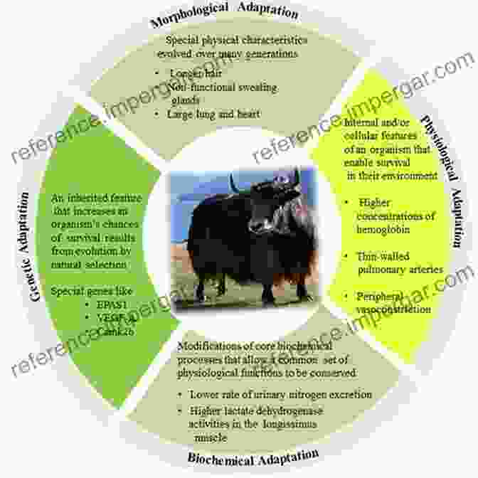 Image Highlighting The Impact Of Environmental Stress On Organisms, Illustrating Morphological Adaptations Such As Limb Elongation And Feather Thickening. Morphogenesis Environmental Stress And Reverse Evolution