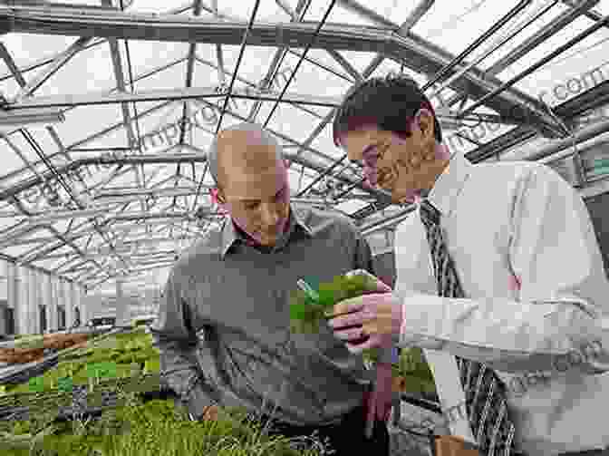 Image Of A Researcher Studying Plant Growth In A Greenhouse Advances In Conservation Agriculture Volume 1: Systems And Science (Burleigh Dodds In Agricultural Science 61)