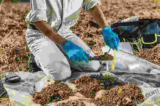 Image Of A Soil Scientist Examining Soil Samples Advances In Conservation Agriculture Volume 1: Systems And Science (Burleigh Dodds In Agricultural Science 61)