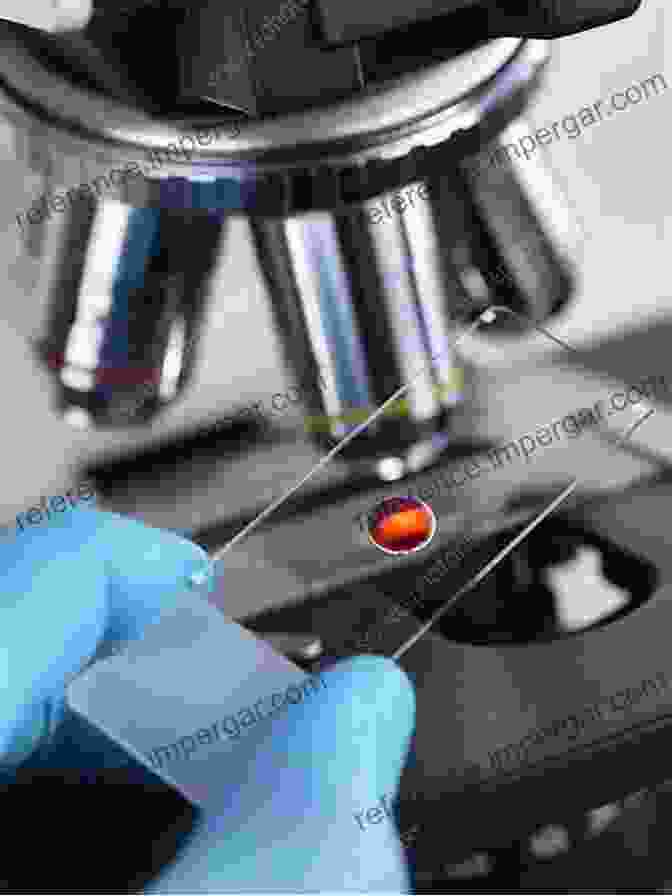 Microscope Image Of Blood Sample Analysis Advances In Clinical Chemistry (ISSN 98)