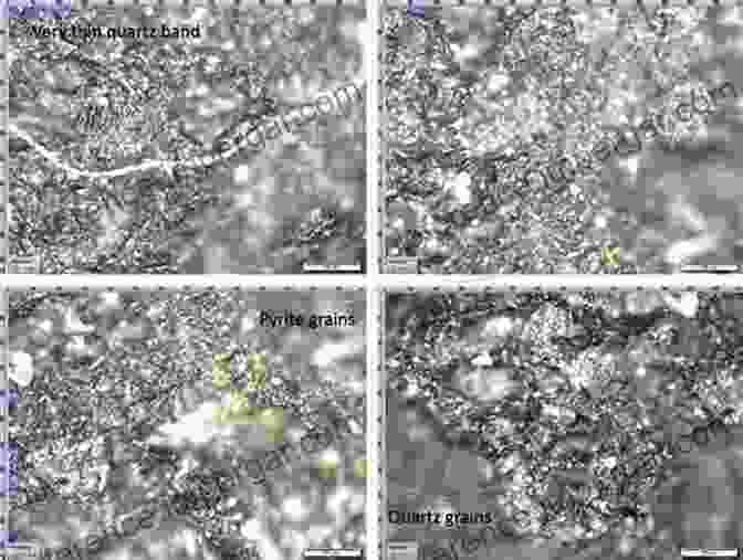 Microscopic Image Of Coal Particles Showing The Presence Of Trace Elements Trace Elements In Coal And Coal Combustion Residues (Advances In Trace Substances Research 5)