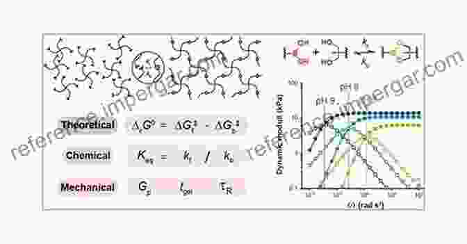 Physical Chemistry Linking The Macroscopic World To The Molecular Realm Modern Problems Of Molecular Physics: Selected Reviews From The 7th International Conference Physics Of Liquid Matter: Modern Problems Kyiv Ukraine (Springer Proceedings In Physics 197)