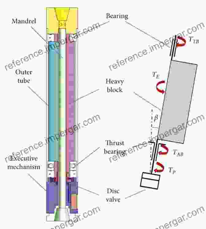 Schematic Of Gravity Sensing Mechanisms Gravitational Biology I: Gravity Sensing And Graviorientation In Microorganisms And Plants (SpringerBriefs In Space Life Sciences 1)