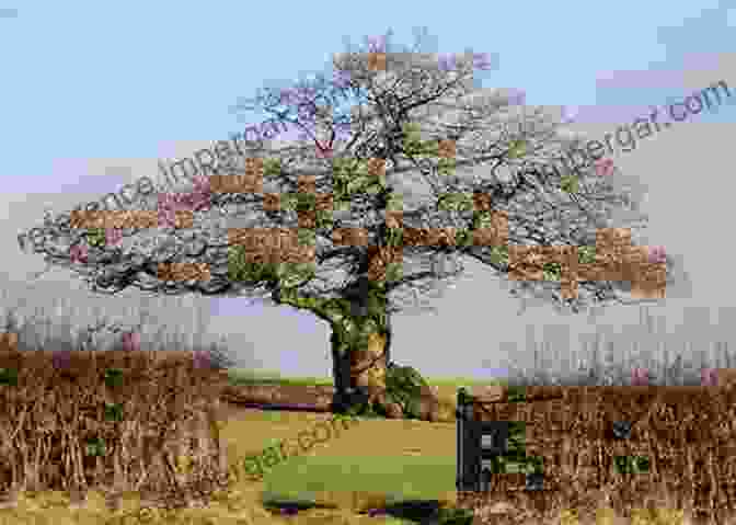 The Ancient Oak Tree, Its Branches Reaching For The Sky, Stands As A Symbol Of Wisdom And Guidance. Once Upon A Farm: Lessons On Growing Love Life And Hope On A New Frontier