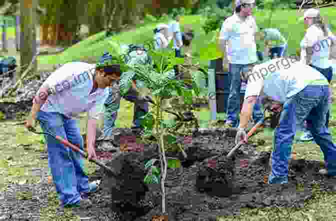 Volunteers Planting Trees In A Reforestation Project Forest Context And Policies In Portugal: Present And Future Challenges (World Forests 19)