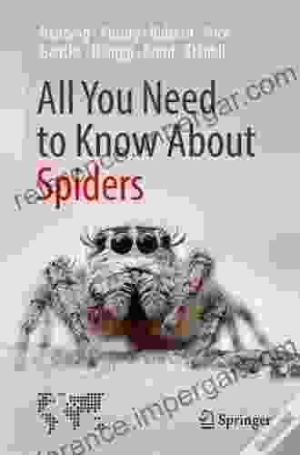 All You Need To Know About Spiders