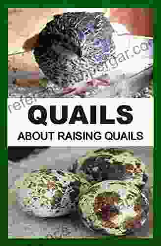 Quails: About Raising Quails F Otieno