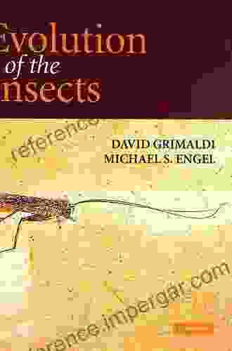 Evolution Of The Insects (Cambridge Evolution Series)