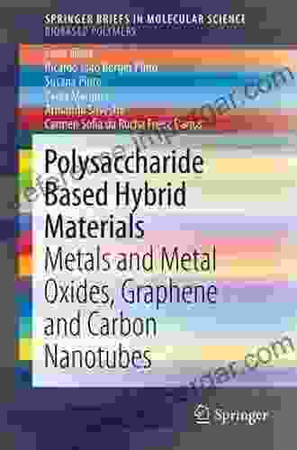 Polysaccharide Based Hybrid Materials: Metals and Metal Oxides Graphene and Carbon Nanotubes (SpringerBriefs in Molecular Science)