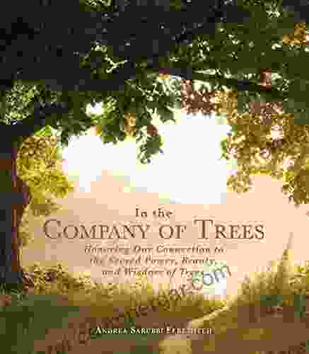 In The Company Of Trees: Honoring Our Connection To The Sacred Power Beauty And Wisdom Of Trees