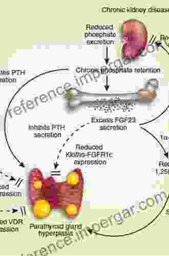 Endocrine Disorders In Kidney Disease: Diagnosis And Treatment