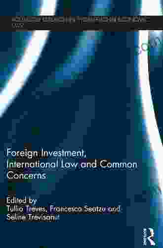 Foreign Investment International Law and Common Concerns (Routledge Research in International Economic Law)