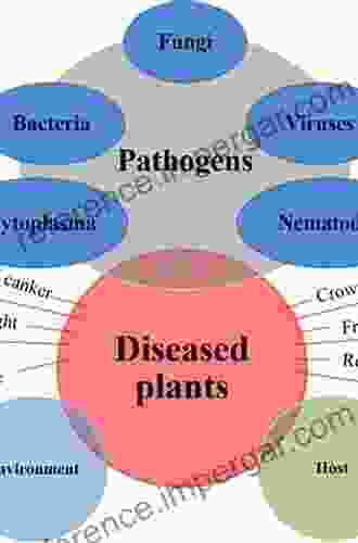 Diagnostic Strategies for COVID 19 and other Coronaviruses (Medical Virology: From Pathogenesis to Disease Control)