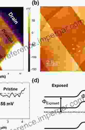 Kelvin Probe Force Microscopy: From Single Charge Detection To Device Characterization (Springer In Surface Sciences 65)