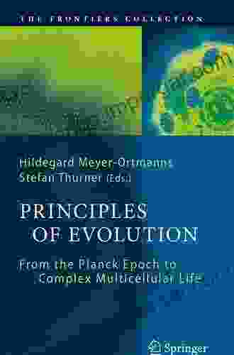 Principles Of Evolution: From The Planck Epoch To Complex Multicellular Life (The Frontiers Collection)