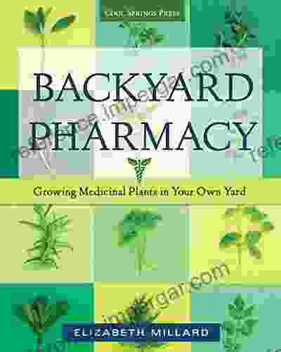 Backyard Pharmacy: Growing Medicinal Plants In Your Own Yard