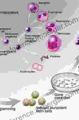 Tumor Microenvironment: Hematopoietic Cells Part A (Advances In Experimental Medicine And Biology 1224)