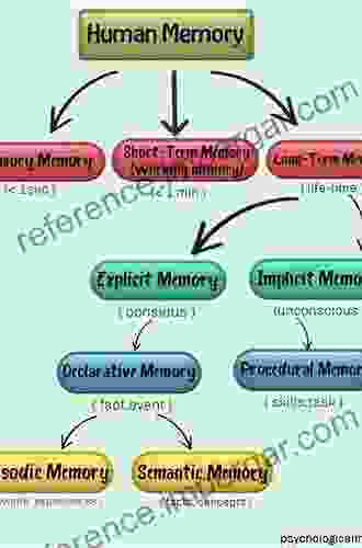 Human Memory And Material Memory