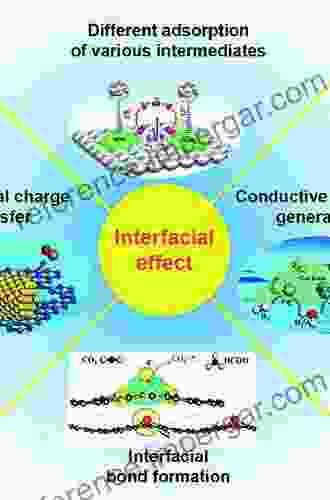 Interfacial Electrochemistry: Theory: Experiment And Applications