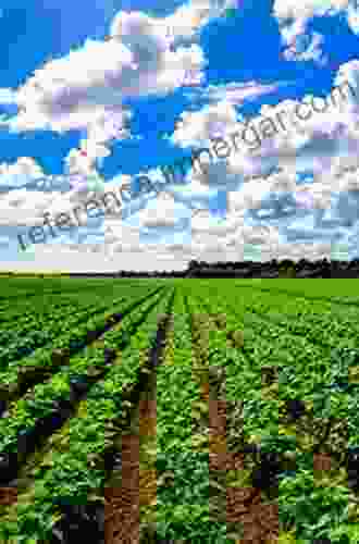 New Agricultural Crops