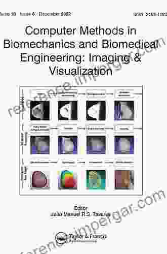 New Developments On Computational Methods And Imaging In Biomechanics And Biomedical Engineering (Lecture Notes In Computational Vision And Biomechanics 33)