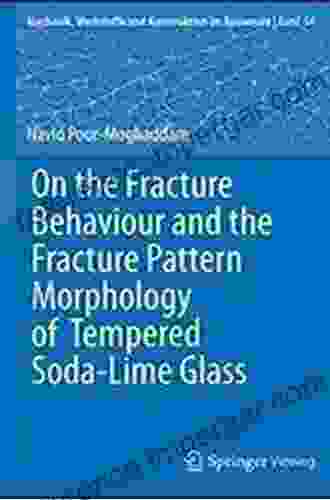 On The Fracture Behaviour And The Fracture Pattern Morphology Of Tempered Soda Lime Glass (Mechanik Werkstoffe Und Konstruktion Im Bauwesen 54)