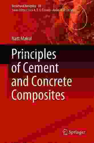 Principles Of Cement And Concrete Composites (Structural Integrity 18)