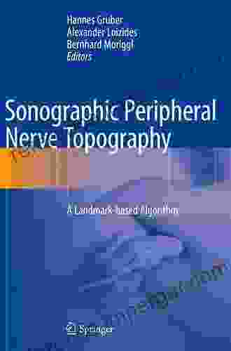 Sonographic Peripheral Nerve Topography: A Landmark Based Algorithm