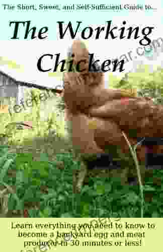 The Working Chicken: Learn Everything You Need To Know To Become A Backyard Egg And Meat Producer In 30 Minutes Or Less