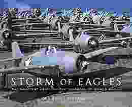 Storm Of Eagles: The Greatest Aviation Photographs Of World War II