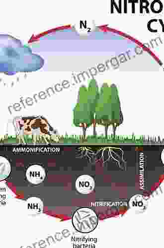 Biology Of The Nitrogen Cycle